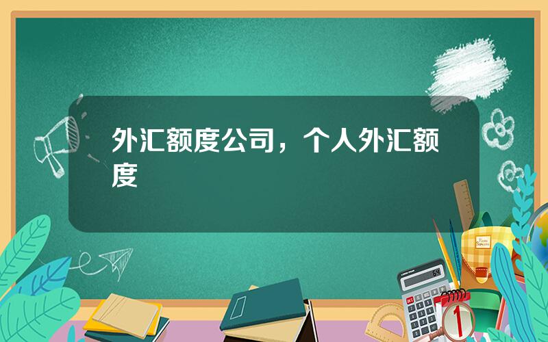 外汇额度公司，个人外汇额度
