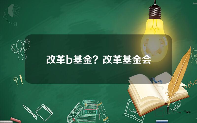 改革b基金？改革基金会