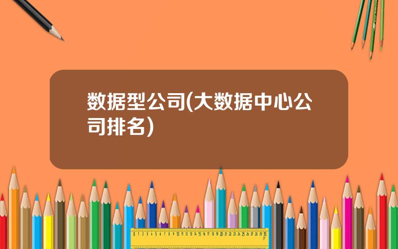 数据型公司(大数据中心公司排名)