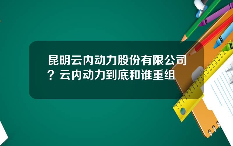 昆明云内动力股份有限公司？云内动力到底和谁重组