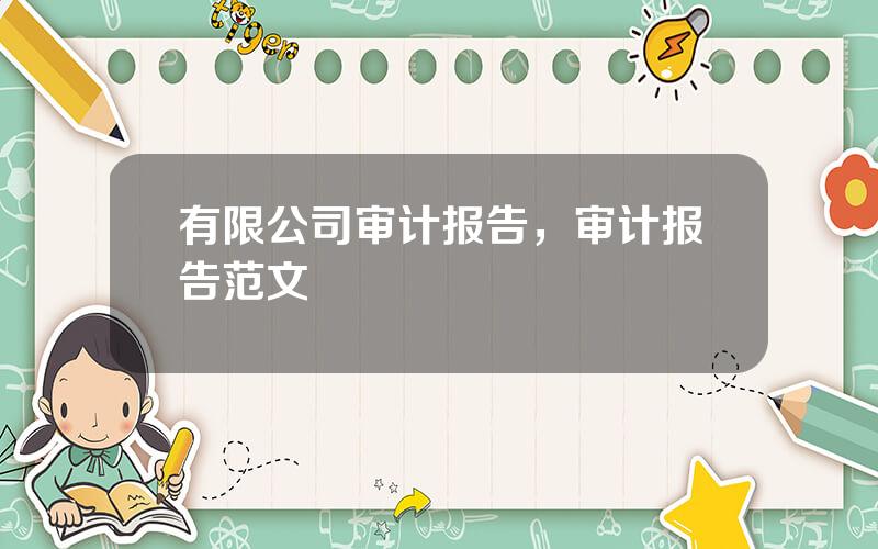 有限公司审计报告，审计报告范文