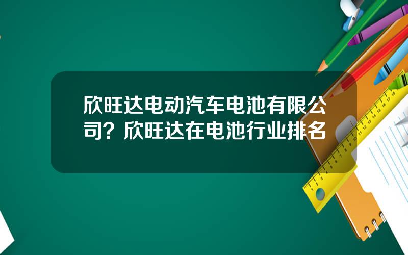 欣旺达电动汽车电池有限公司？欣旺达在电池行业排名
