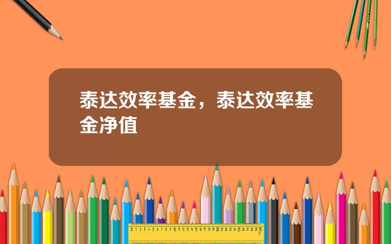 泰达效率基金，泰达效率基金净值
