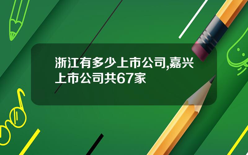 浙江有多少上市公司,嘉兴上市公司共67家