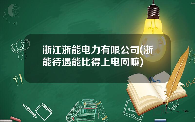 浙江浙能电力有限公司(浙能待遇能比得上电网嘛)