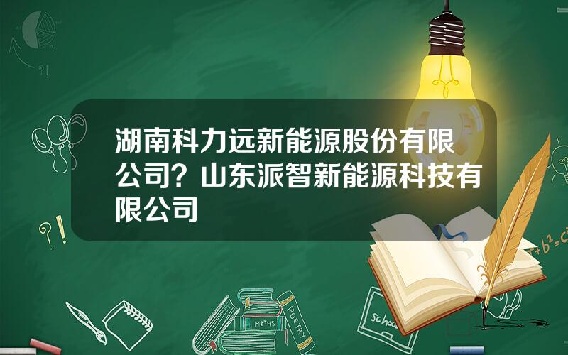 湖南科力远新能源股份有限公司？山东派智新能源科技有限公司