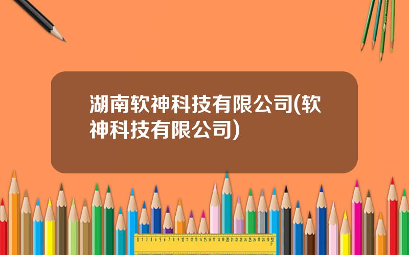 湖南软神科技有限公司(软神科技有限公司)